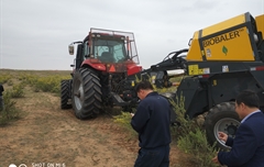 2019年，內(nèi)蒙奈吉牧草有限公司，采購一臺(tái)Anderson檸條平茬機(jī)